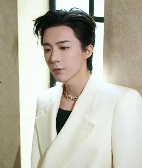 吃瓜娱乐圈刘宇宁,吃瓜娱乐圈，揭秘明星背后的故事