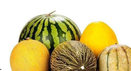 娱乐吃瓜作品有哪些类型